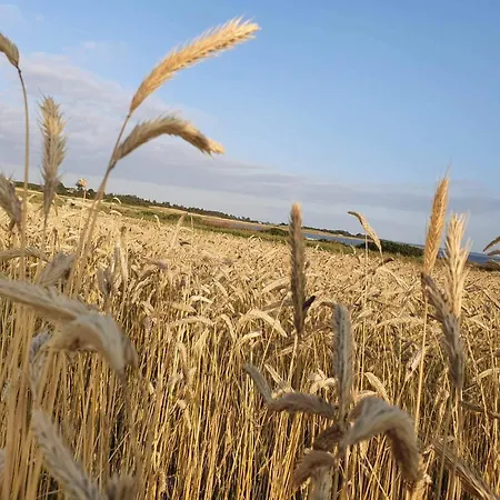 Дом отдыха 19 Person In Logstor-by Traum