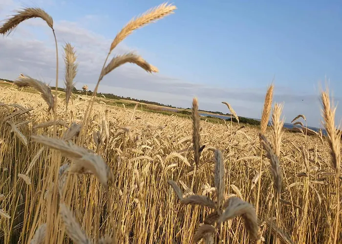 Дом отдыха 19 Person In Logstor-by Traum